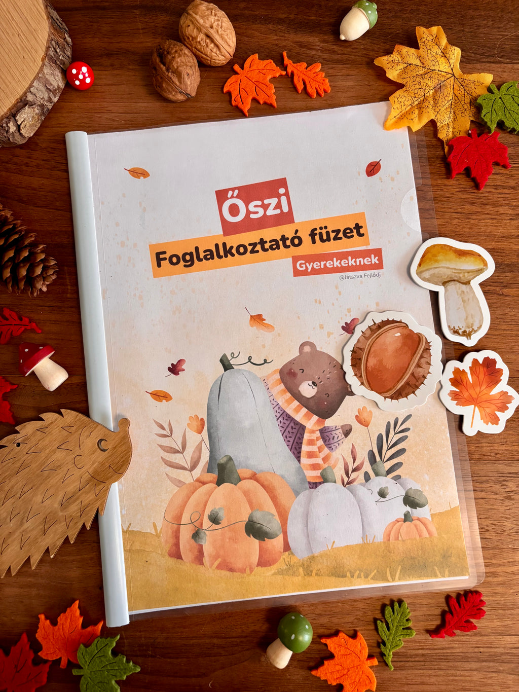 Őszi foglalkoztató füzet