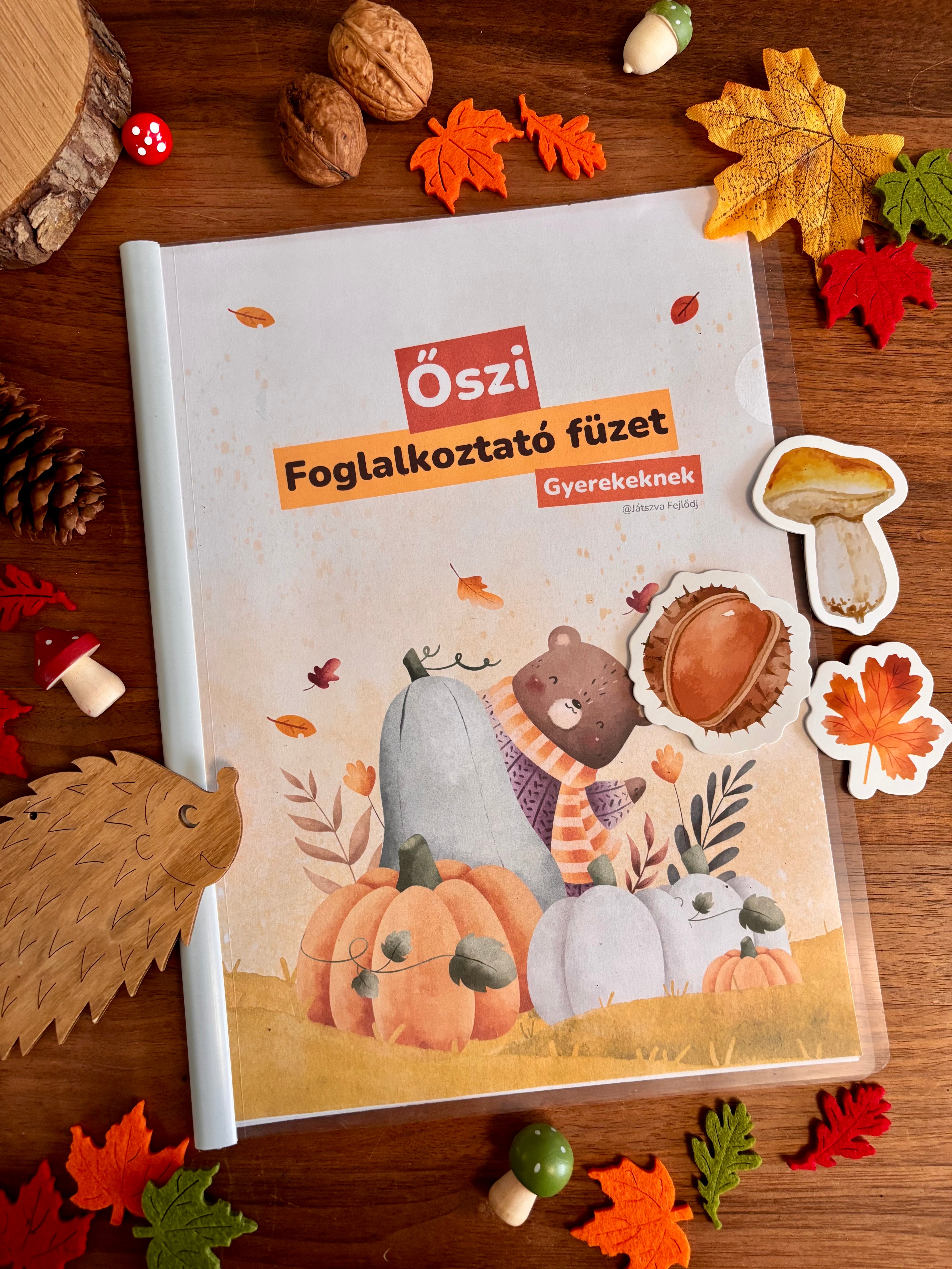 Őszi foglalkoztató füzet