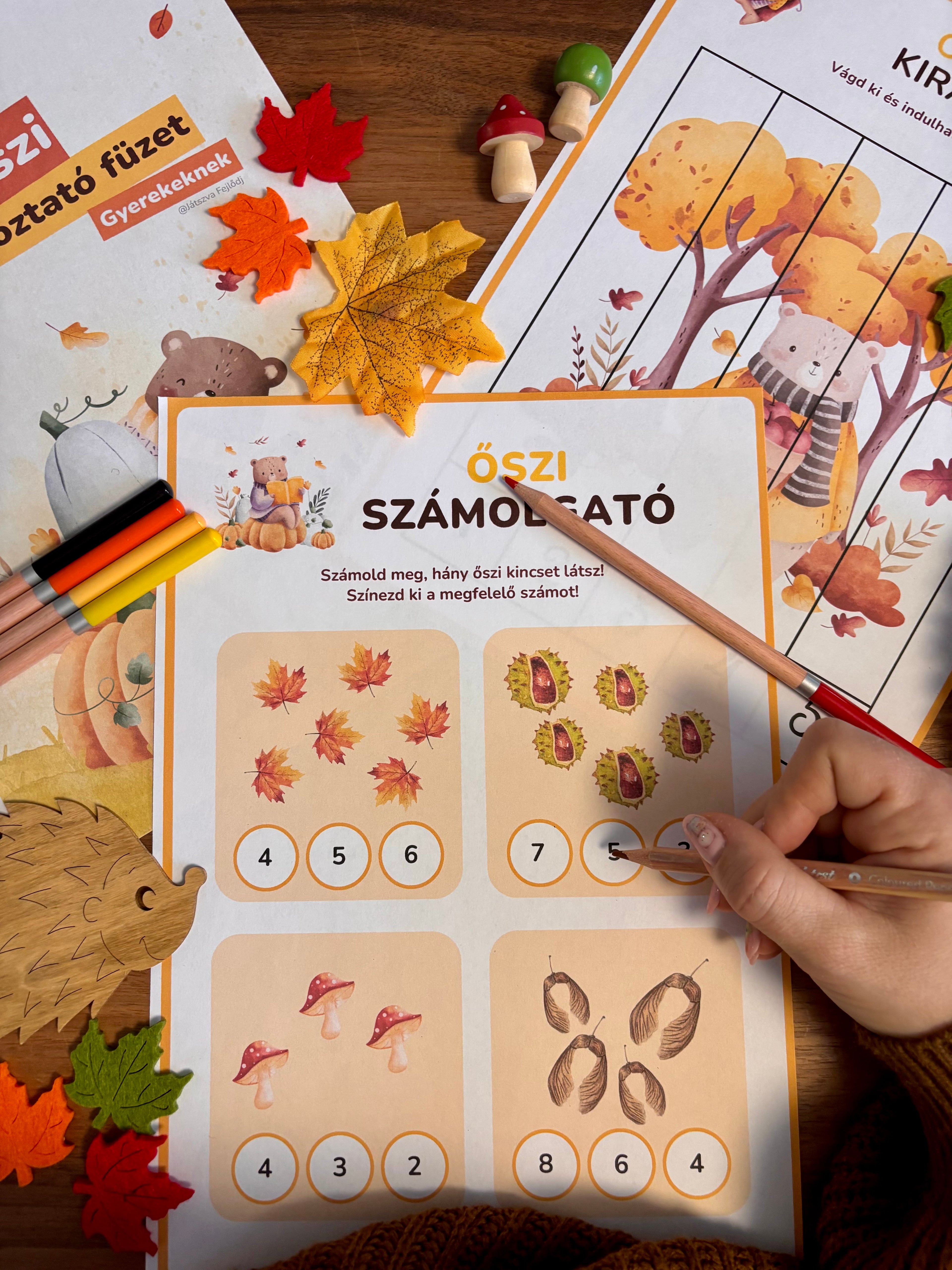 Őszi foglalkoztató füzet